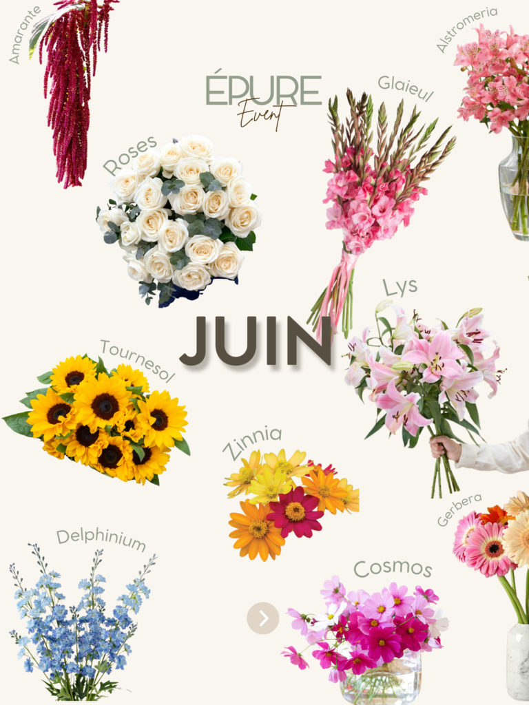 Calendrier floral juin