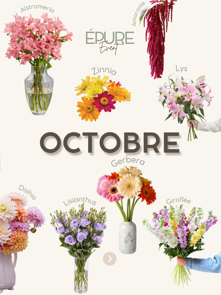 Calendrier floral octobre